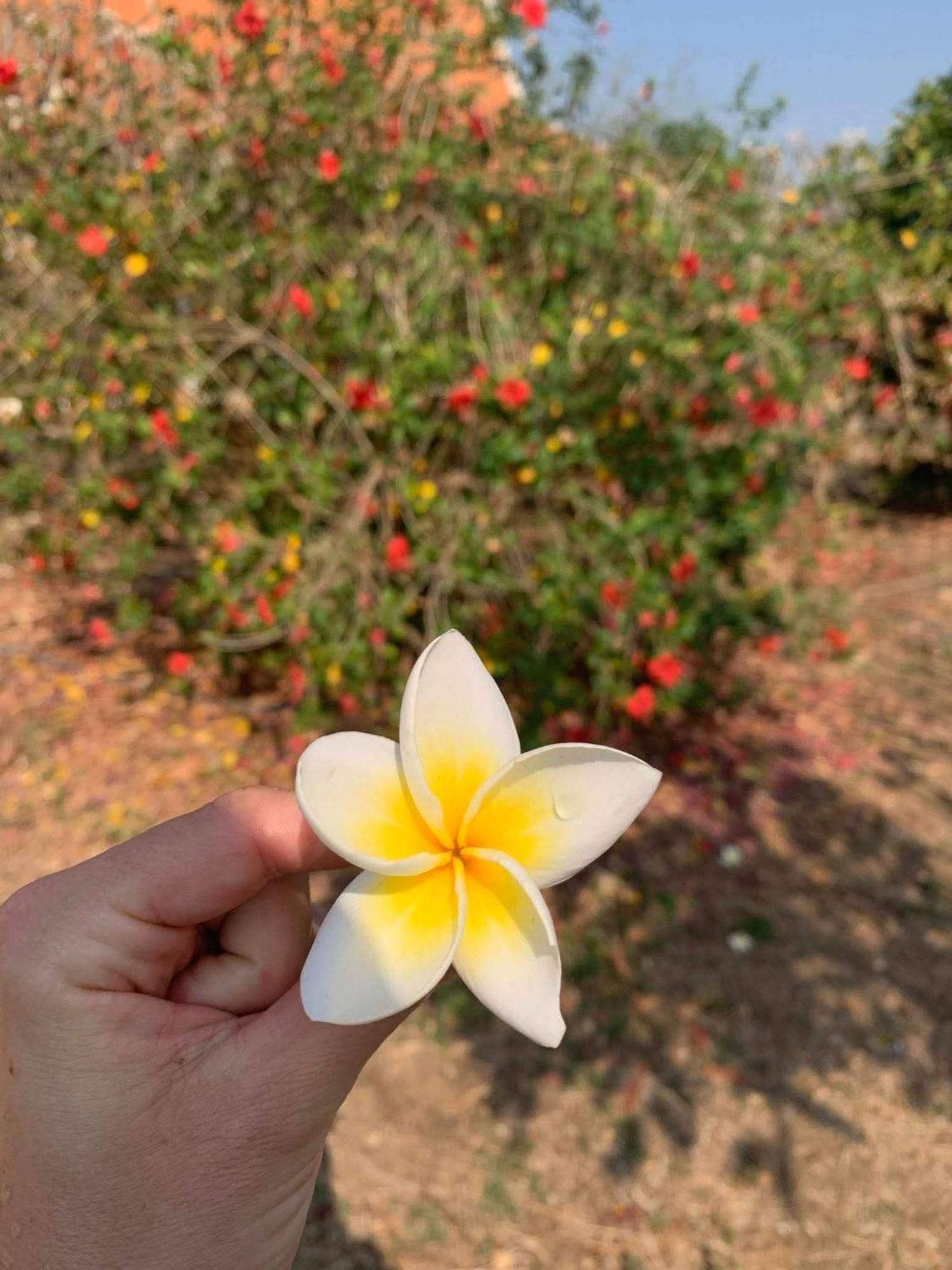 Bloom Garden Bed & Breakfast Siem Reap Bagian luar foto