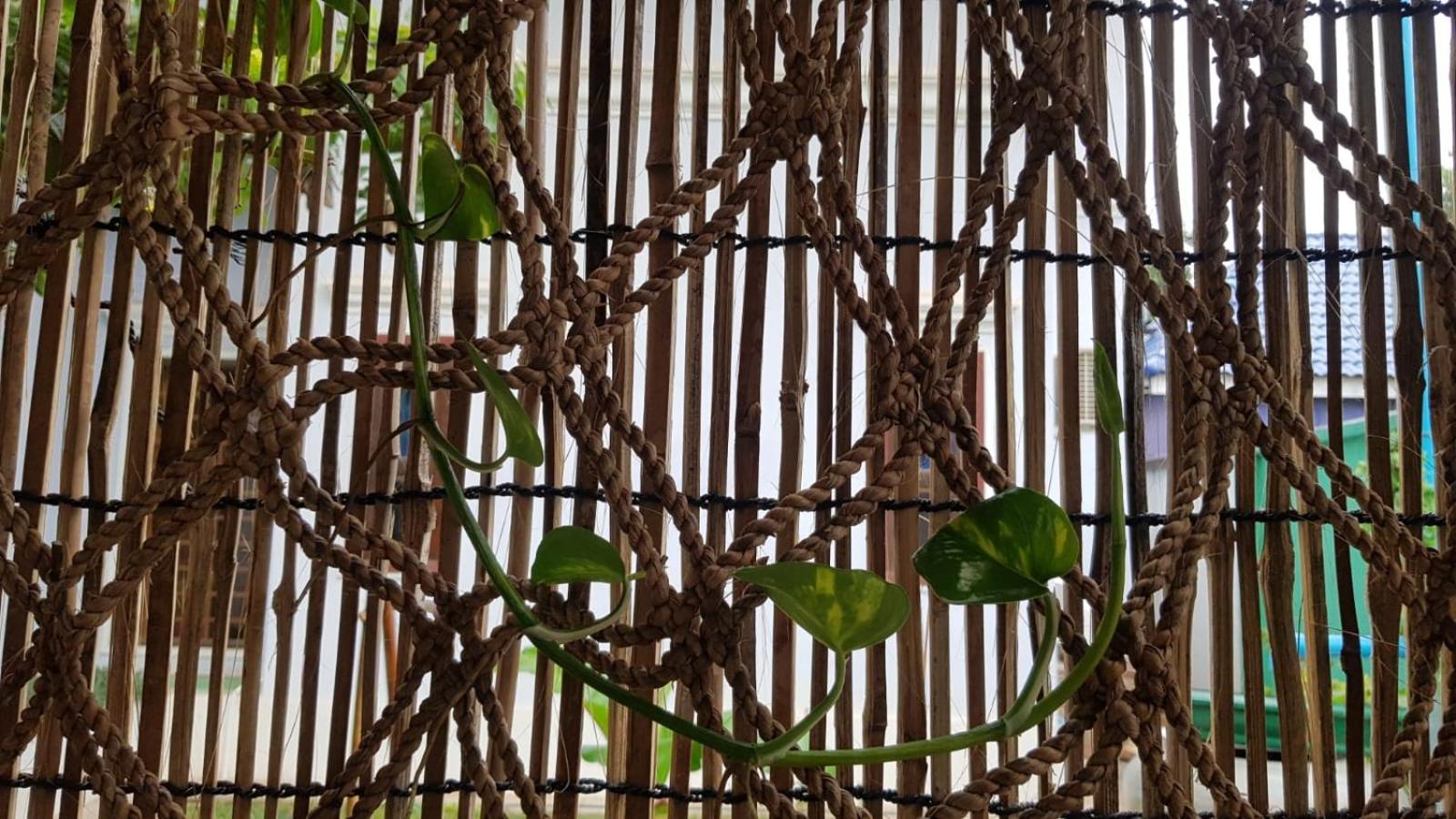 Bloom Garden Bed & Breakfast Siem Reap Bagian luar foto