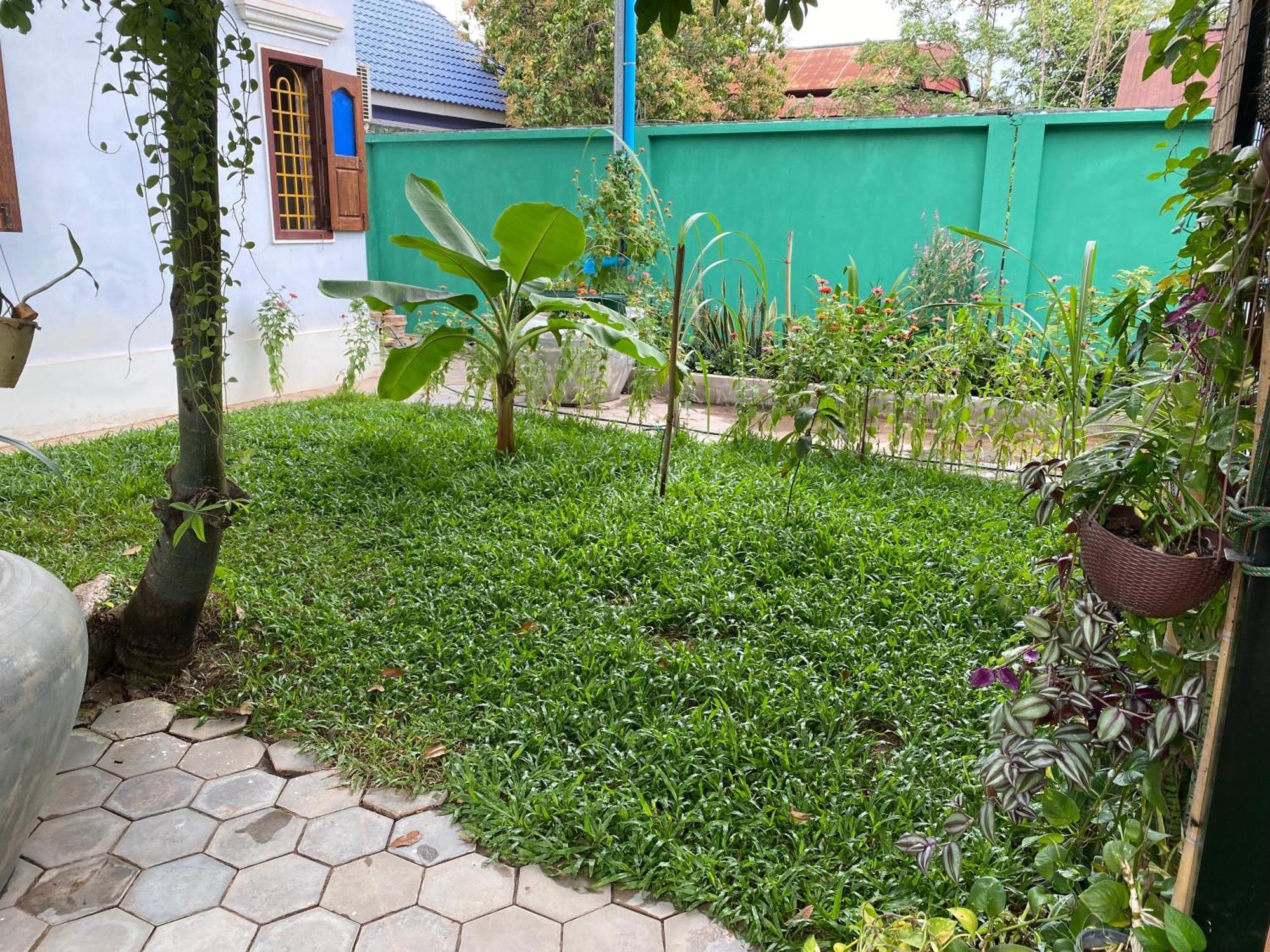 Bloom Garden Bed & Breakfast Siem Reap Bagian luar foto