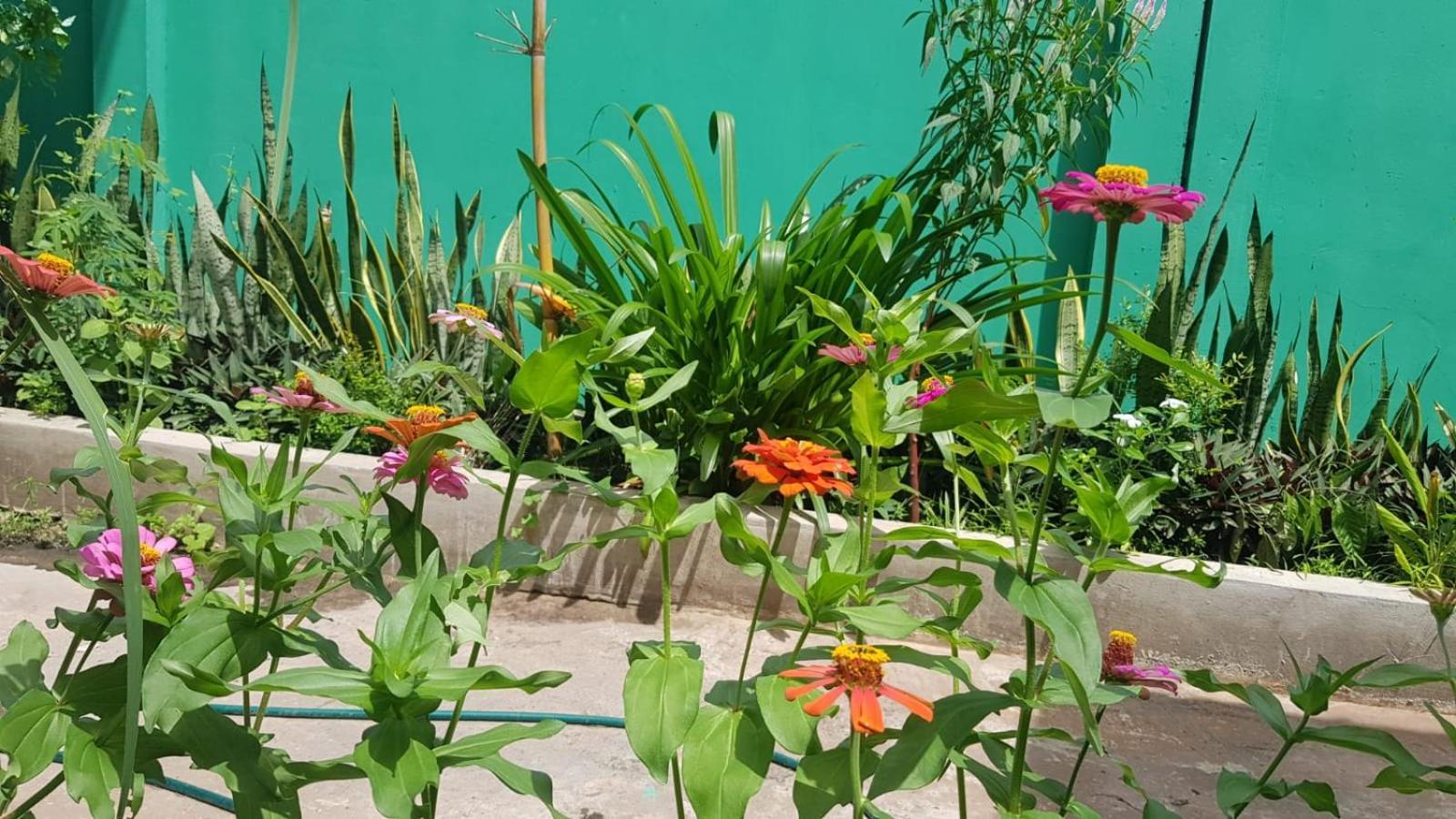 Bloom Garden Bed & Breakfast Siem Reap Bagian luar foto