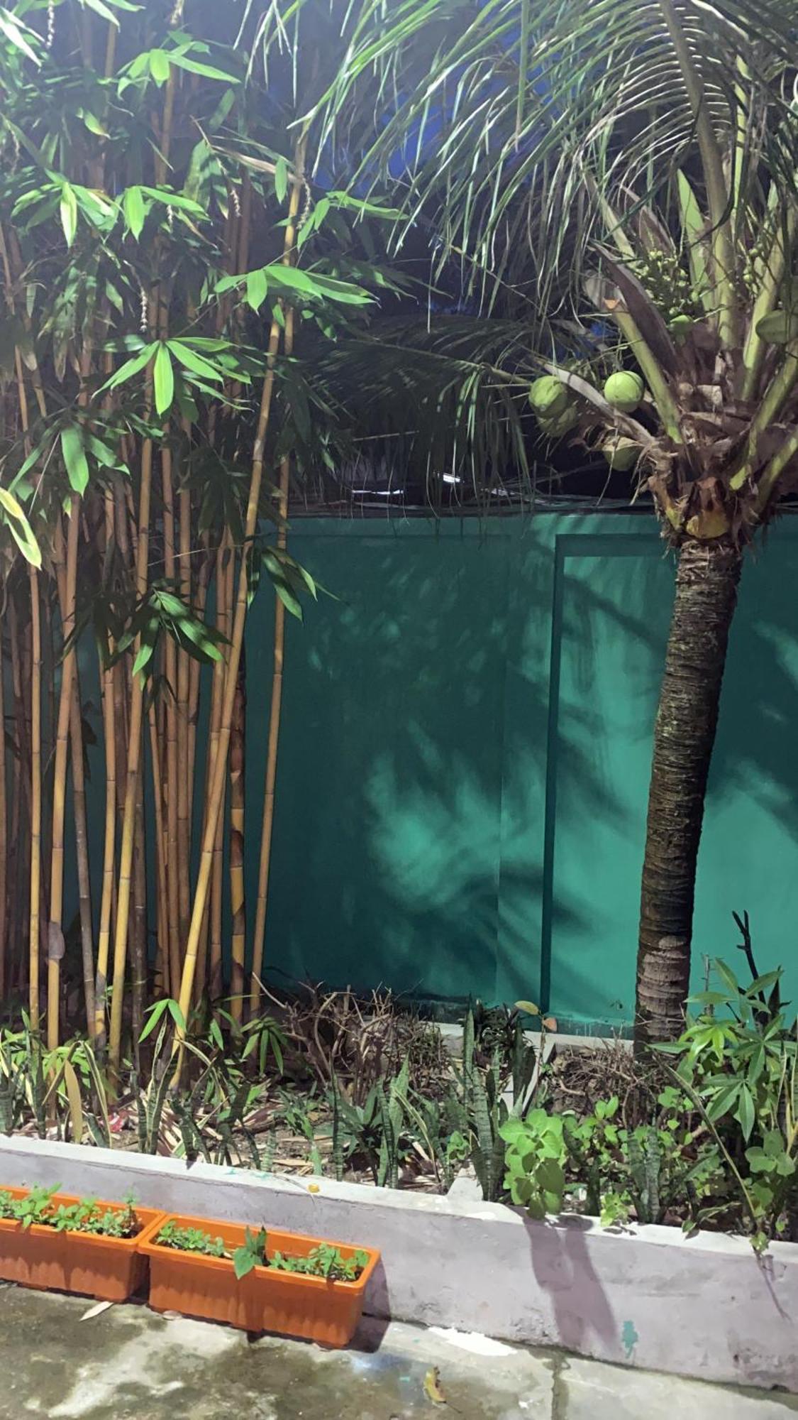 Bloom Garden Bed & Breakfast Siem Reap Bagian luar foto