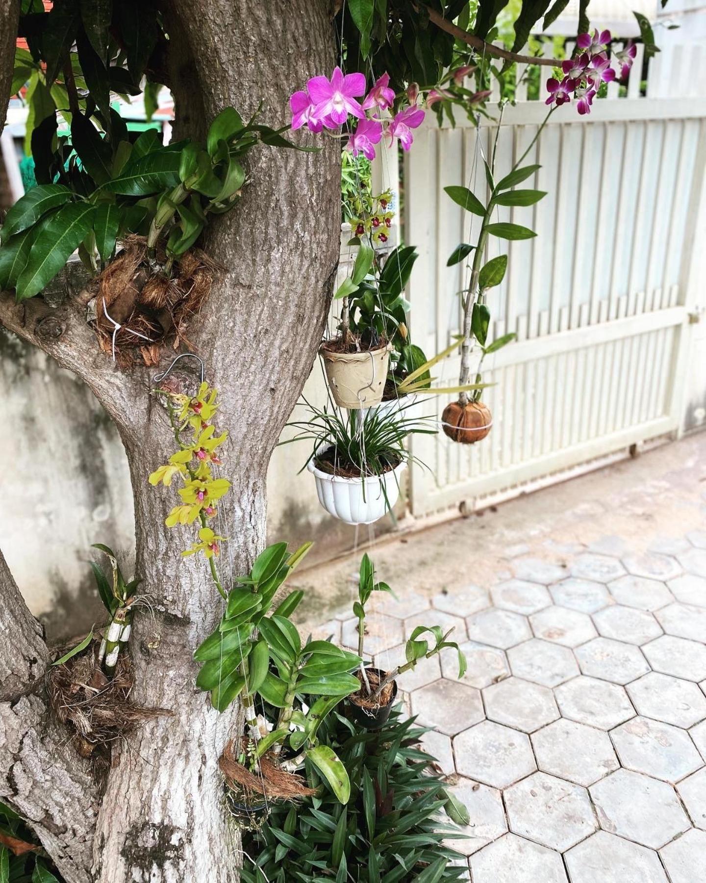 Bloom Garden Bed & Breakfast Siem Reap Bagian luar foto